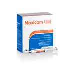 maxicam-gel-ouro-fino-30g