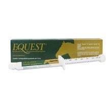 Antiparasitário Equest Zoetis 12,2g