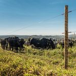 arame-eletrix-belgo-500m-2