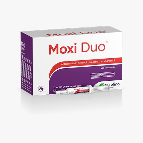 moxi-duo-bisn--9-6-g-201