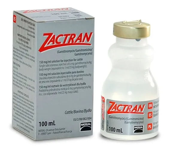 Zactran Antibiótico Injetável Boehringer 100ml