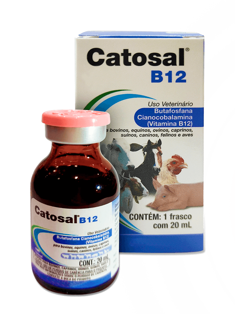 Catosal-b12-20mL