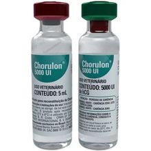 Uso Veterinário - Chorulon 5000 UI Injetável Ampola 5ml