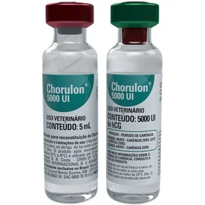 chorulon-gonadotrofina-humano-msd