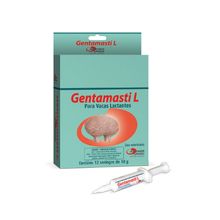 Antimicrobiano Gentamasti L Agener União Seringa 10g