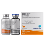 ecegon