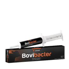 Bovibacter - Suplemento Vitamínico com Probiótico - 34g