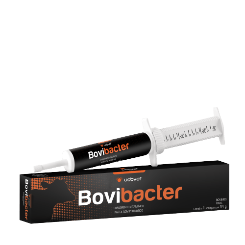 bovibacter-pasta-com-probiotico-suplemento-mineral