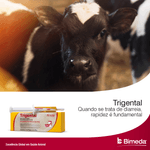 trigental