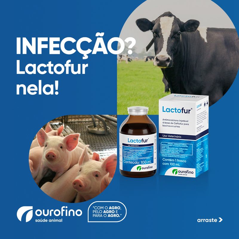 lactofur-contra-infeccoes-bovinos-e-suinos-alvorada-produtos-e-medicamentos-veterinarios