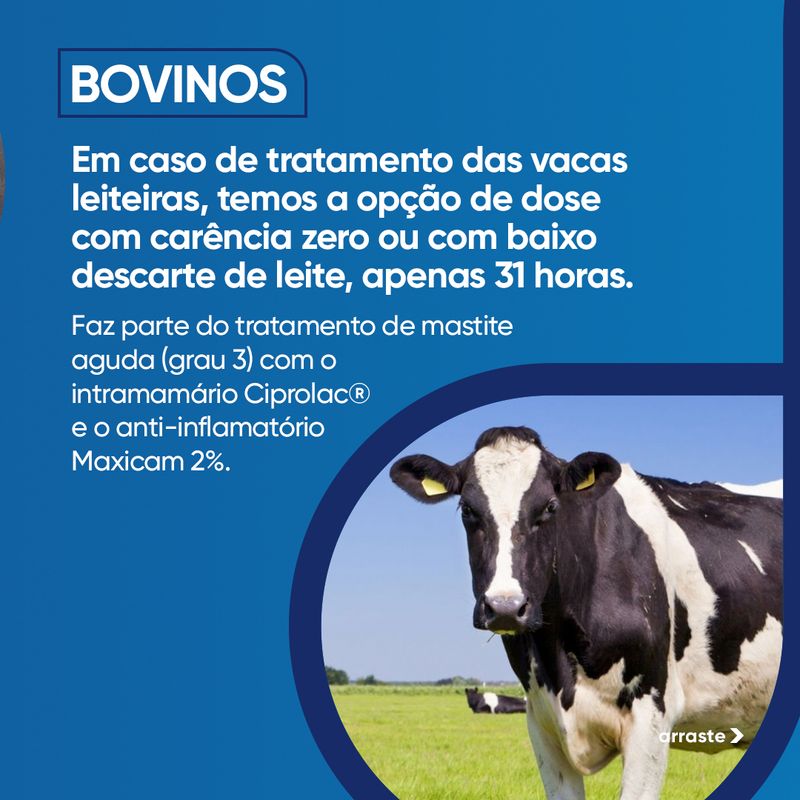 lactofur-contra-infeccoes-bovinos-alvorada-produtos-e-medicamentos-veterinarios