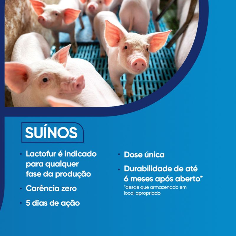 lactofur-contra-infeccoes-suinos-alvorada-produtos-e-medicamentos-veterinarios