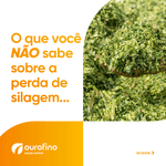 silosolve-garante-maiores-resultados-e-menos-perda-da-silagem