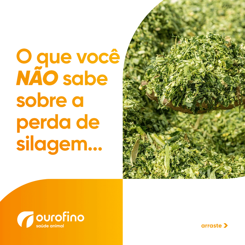 silosolve-garante-maiores-resultados-e-menos-perda-da-silagem