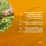 silosolve-silagem-ouro-fino-e-alvorada-