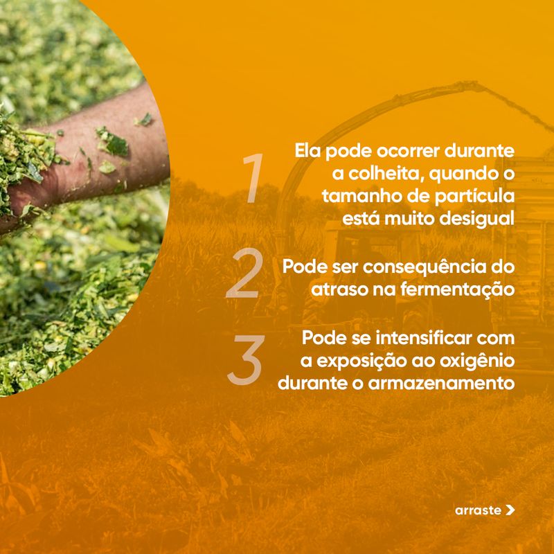 silosolve-silagem-ouro-fino-e-alvorada-