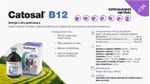 catosal-b-12-suplemento-injetavel-informacoes