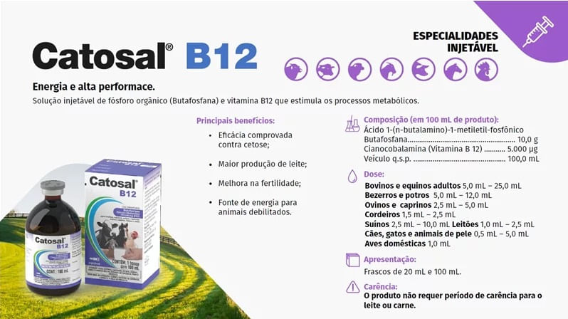 catosal-b-12-suplemento-injetavel-informacoes