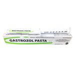 gastrozol-pasta-oral-para-equinos-prevencao-de-gastrites-e-ulceras