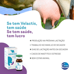 velactis-beneficios-para-o-bem-estar-animal