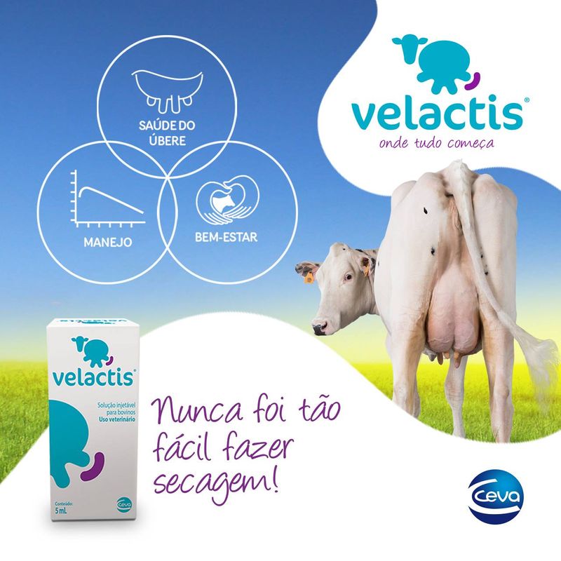 velactis-para-vacas-de-alta-producao