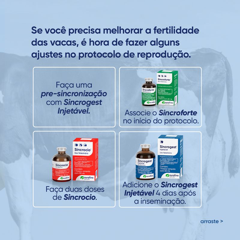 aumento-da-fertilidade-em-vacas-com-ourofino-saude-aniaml