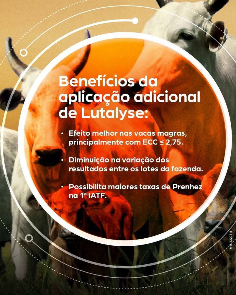 beneficios-da-aplicacao-do-lutalyse-no-iatf-zoetis