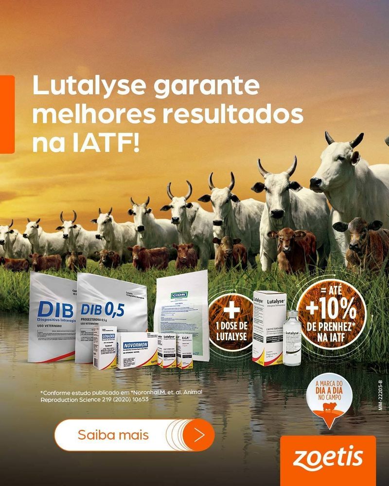 lutalyse-aumento-da-fertilidade-no-protocolo-de-iatf-zoetis