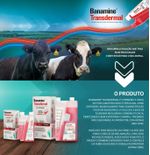 banamine-transdermal-pour-on-saude-animal-msd