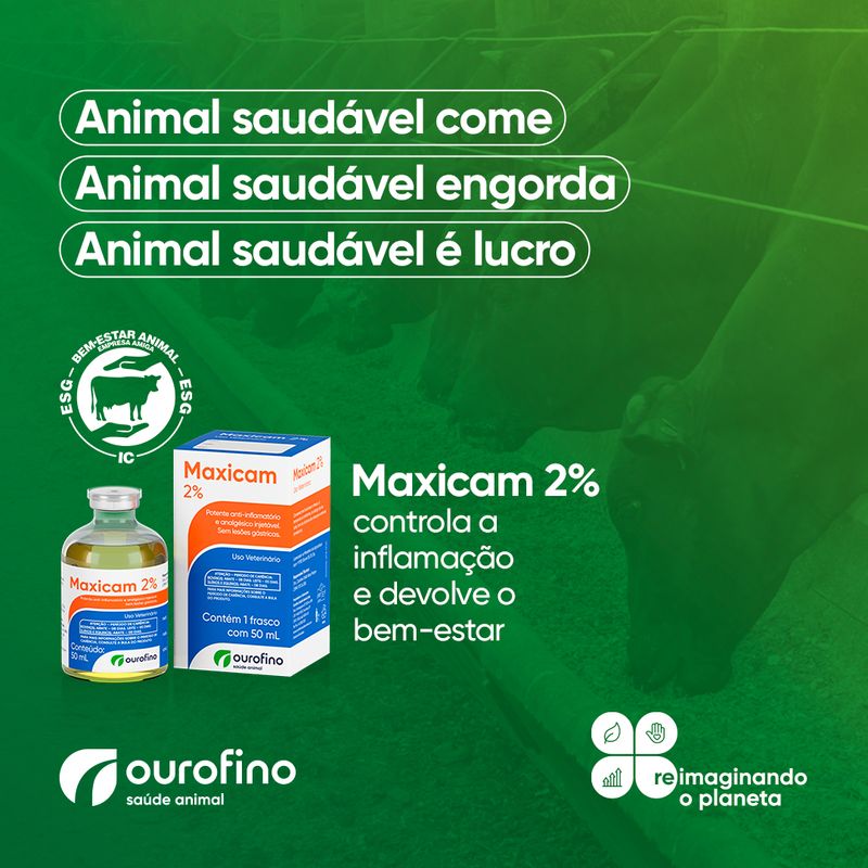 maxicam-controla-a-inflamacao-e-devolve-o-bem-estar-animal-ourofino