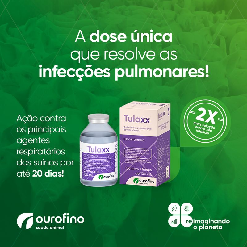 tulaxx-protecao-contra-as-doencas-respiratorias-nos-suinos