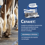 cefavet-antibiotico-bactericida-indicado-no-tratamento-da-mastite-na-lactacao