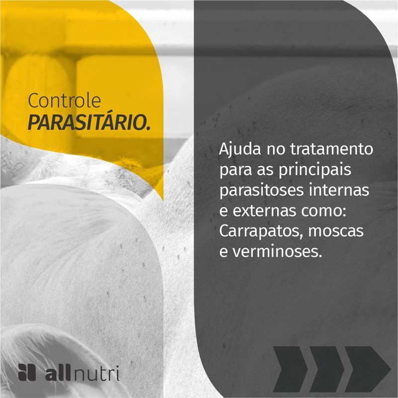 parasitario-contra-carrapatos-moscas-e-vermes-20-kg-all-nutri
