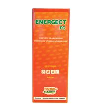 Suplemento Energect Fc Bimeda