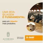 lactosilo-aumente-a-produtividade-do-rebanho-alvorada-produtos-agropecuarios
