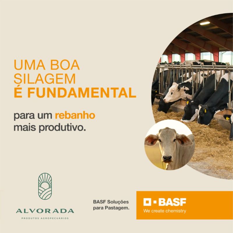 lactosilo-aumente-a-produtividade-do-rebanho-alvorada-produtos-agropecuarios