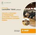 lactosilo-gold-liofilizado-alvorada-produtos-agropecuarios