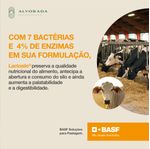 lactosilo-gold-liofilizado-alvorada