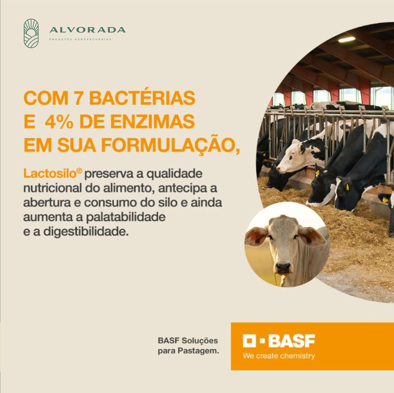 lactosilo-gold-liofilizado-alvorada