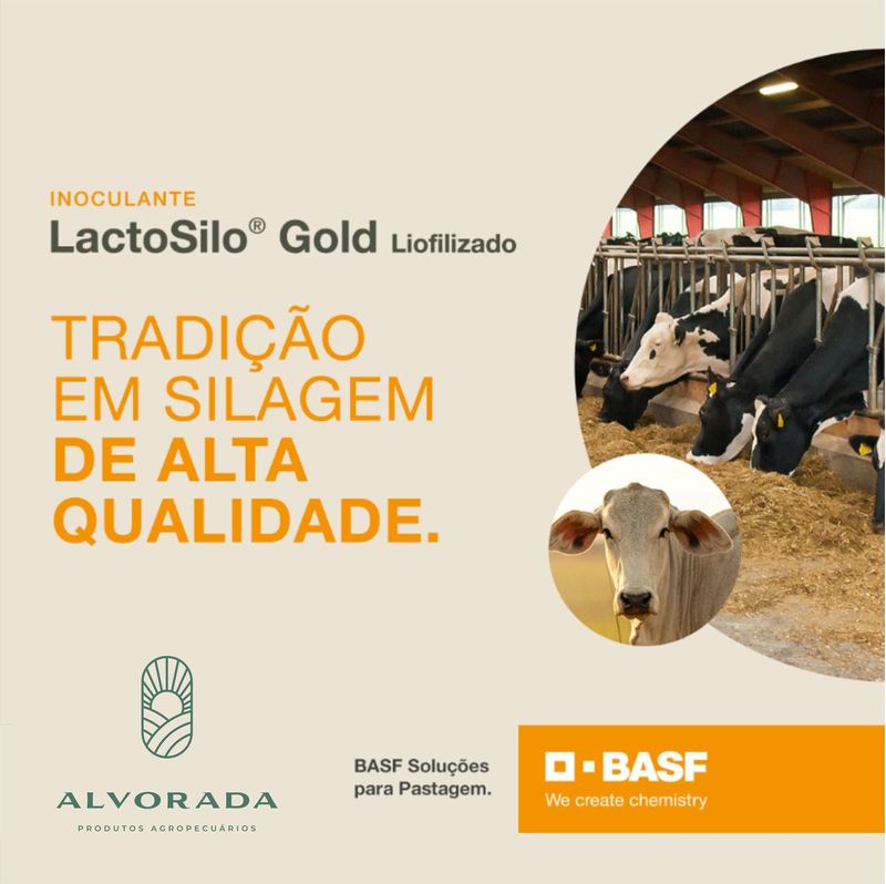 lactosilo-gold-liofilizado-silagem-de-alta-qualidade-basf