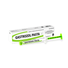 Gastrozol Pasta Ceva 12g