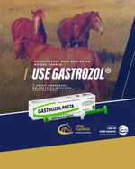gastrozol-omeprazol-em-pasta-para-equinos-ceva