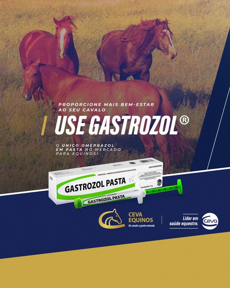 gastrozol-omeprazol-em-pasta-para-equinos-ceva