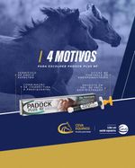 padock-plus-nf-ivermectina-oral-para-equinos-alvorada-produtos-agropecuarios