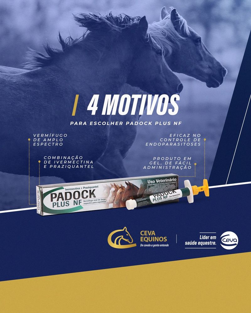 padock-plus-nf-ivermectina-oral-para-equinos-alvorada-produtos-agropecuarios