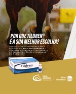 tildren-bifosfonato-para-equinos