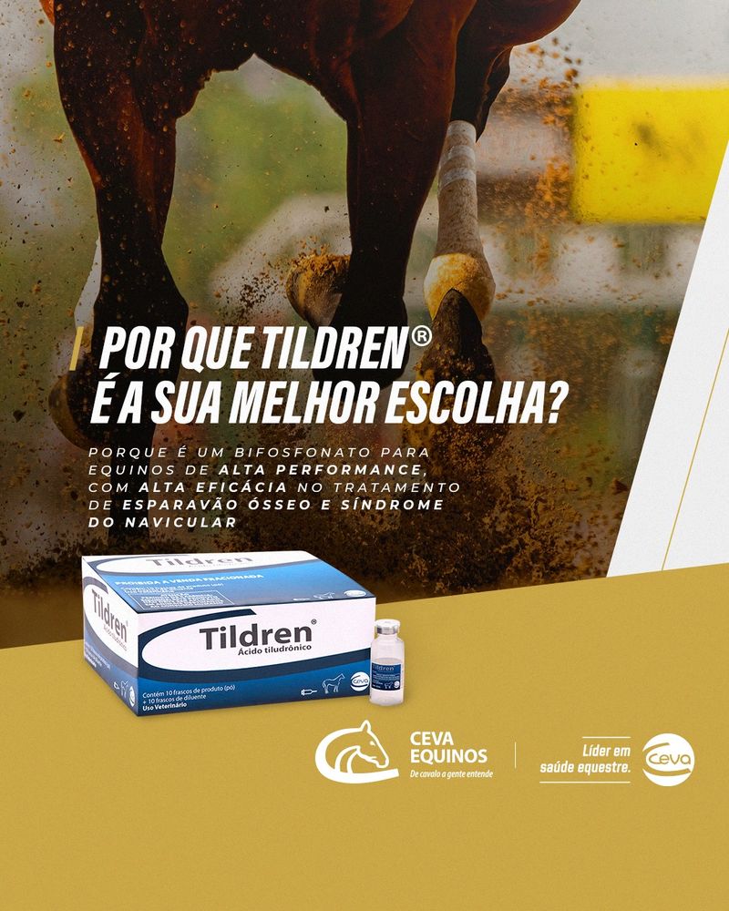 tildren-bifosfonato-para-equinos