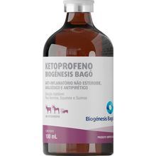Anti-inflamatório Ketoprofeno Biogénesis Bagó 100ml