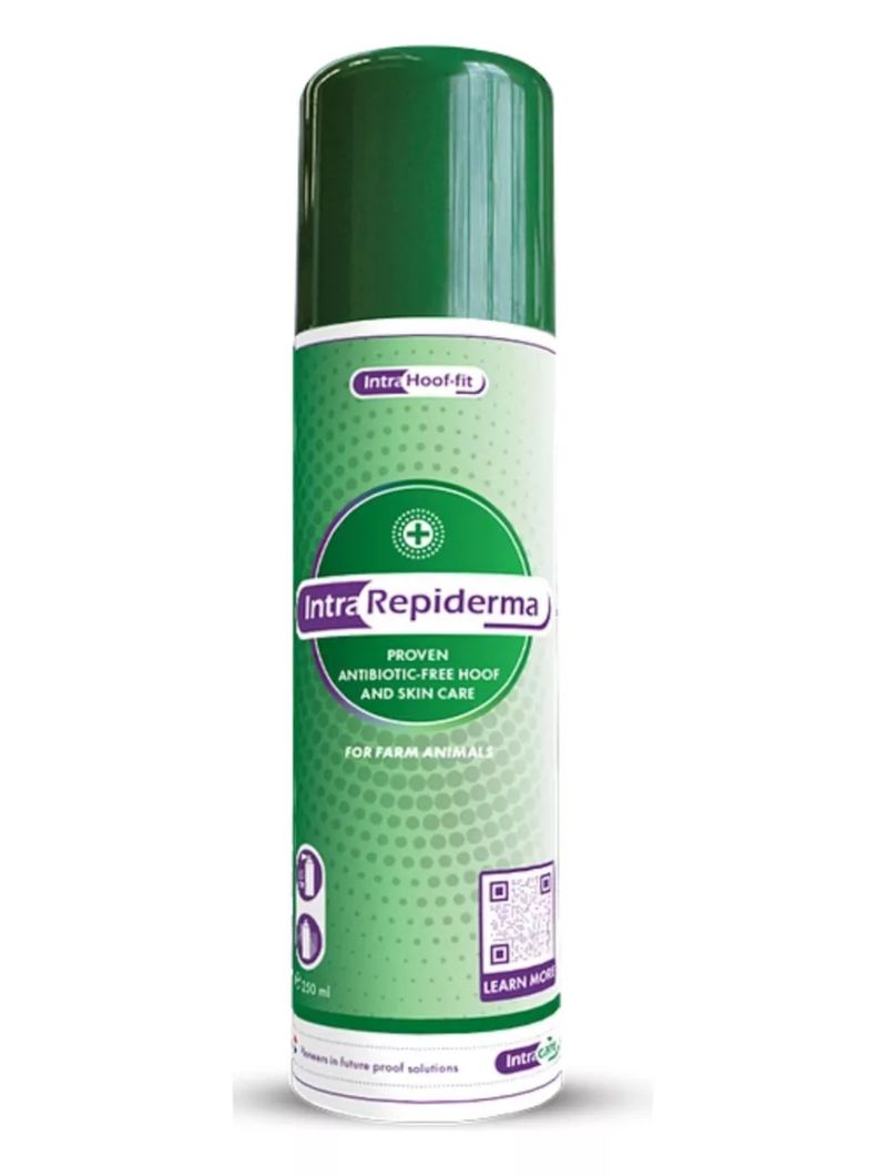 Repiderma-Spray-Elanco---250ml