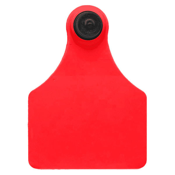 Brinco-Vermelho-Liso-Grande-Sem-Clip-Allflex